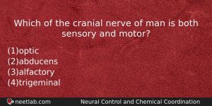 Which Of The Cranial Nerve Of Man Is Both Sensory Biology Question