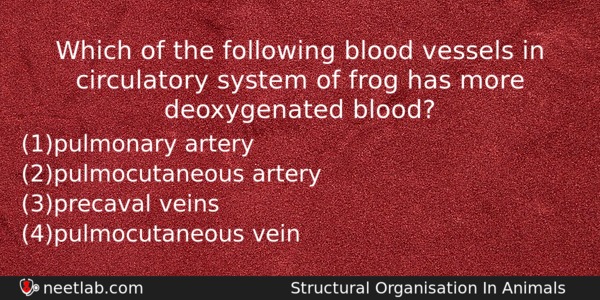 Which Of The Following Blood Vessels In Circulatory System Of Biology Question 