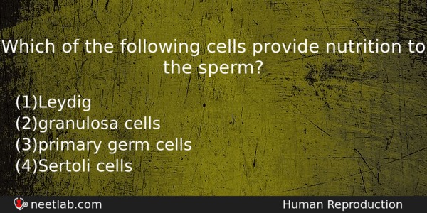 Which Of The Following Cells Provide Nutrition To The Sperm Biology Question 