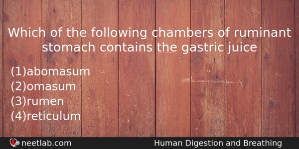 Which Of The Following Chambers Of Ruminant Stomach Contains The Biology Question 