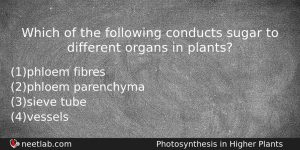 Which Of The Following Conducts Sugar To Different Organs In Biology Question