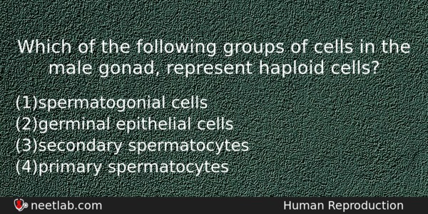 Which Of The Following Groups Of Cells In The Male Biology Question 