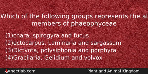 Which Of The Following Groups Represents The Al Members Of Biology Question 