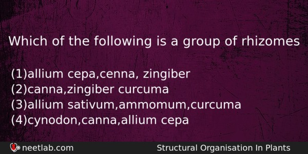 Which Of The Following Is A Group Of Rhizomes Biology Question 