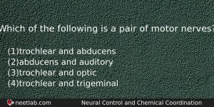 Which Of The Following Is A Pair Of Motor Nerves Biology Question