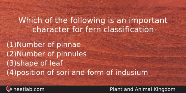 Which Of The Following Is An Important Character For Fern Biology Question 