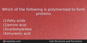 Which Of The Following Is Polymerized To Form Proteins Biology Question