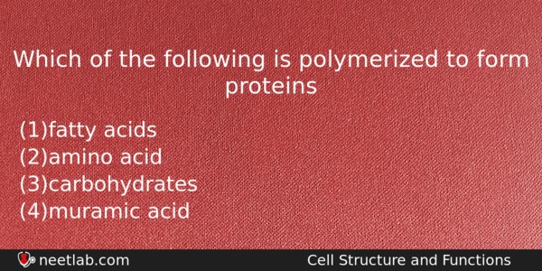 Which Of The Following Is Polymerized To Form Proteins Biology Question 