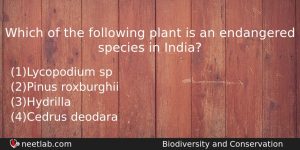 Which Of The Following Plant Is An Endangered Species In Biology Question