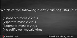 Which Of The Following Plant Virus Has Dna In It Biology Question