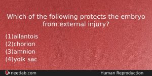 Which Of The Following Protects The Embryo From External Injury Biology Question