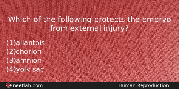 Which Of The Following Protects The Embryo From External Injury Biology Question 