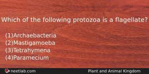 Which Of The Following Protozoa Is A Flagellate Biology Question