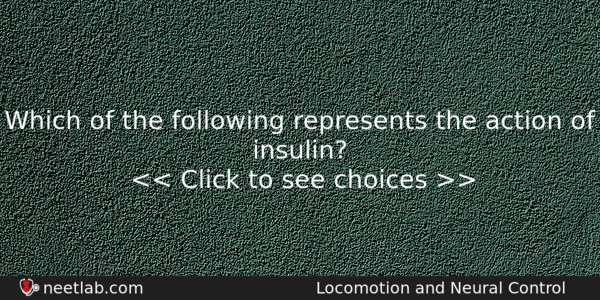 Which Of The Following Represents The Action Of Insulin Biology Question 