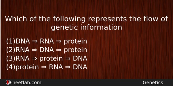 Which Of The Following Represents The Flow Of Genetic Information Biology Question 
