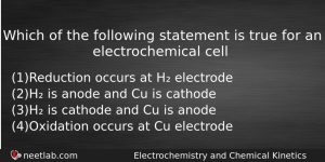Which Of The Following Statement Is True For An Electrochemical Chemistry Question