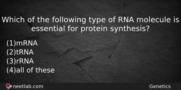 Which Of The Following Type Of Rna Molecule Is Essential Biology Question 