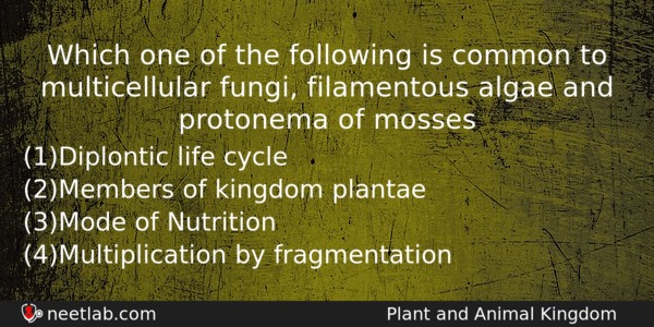 Which One Of The Following Is Common To Multicellular Fungi Biology Question 