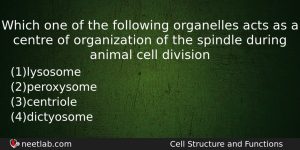 Which One Of The Following Organelles Acts As A Centre Question