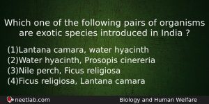 Which One Of The Following Pairs Of Organisms Are Exotic Biology Question