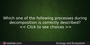 Which One Of The Following Processes During Decomposition Is Correctly Biology Question