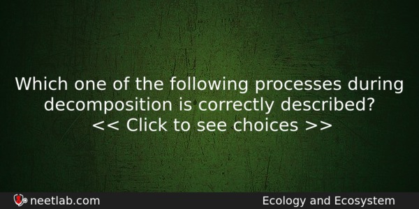 Which One Of The Following Processes During Decomposition Is Correctly Biology Question 
