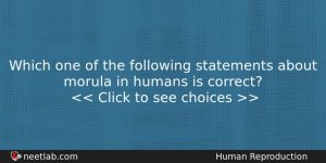 Which One Of The Following Statements About Morula In Humans Biology Question