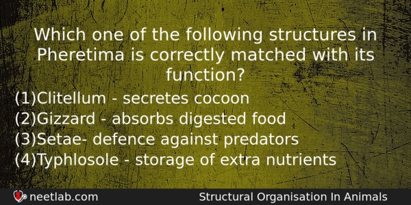 Which One Of The Following Structures In Pheretima Is Correctly Biology Question 