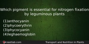Which Pigment Is Essential For Nitrogen Fixation By Leguminous Plants Biology Question