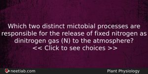 Which Two Distinct Mictobial Processes Are Responsible For The Release Biology Question