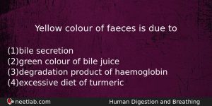Yellow Colour Of Faeces Is Due To Biology Question
