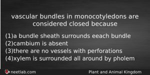 Vascular Bundles In Monocotyledons Are Considered Closed Because Biology Question