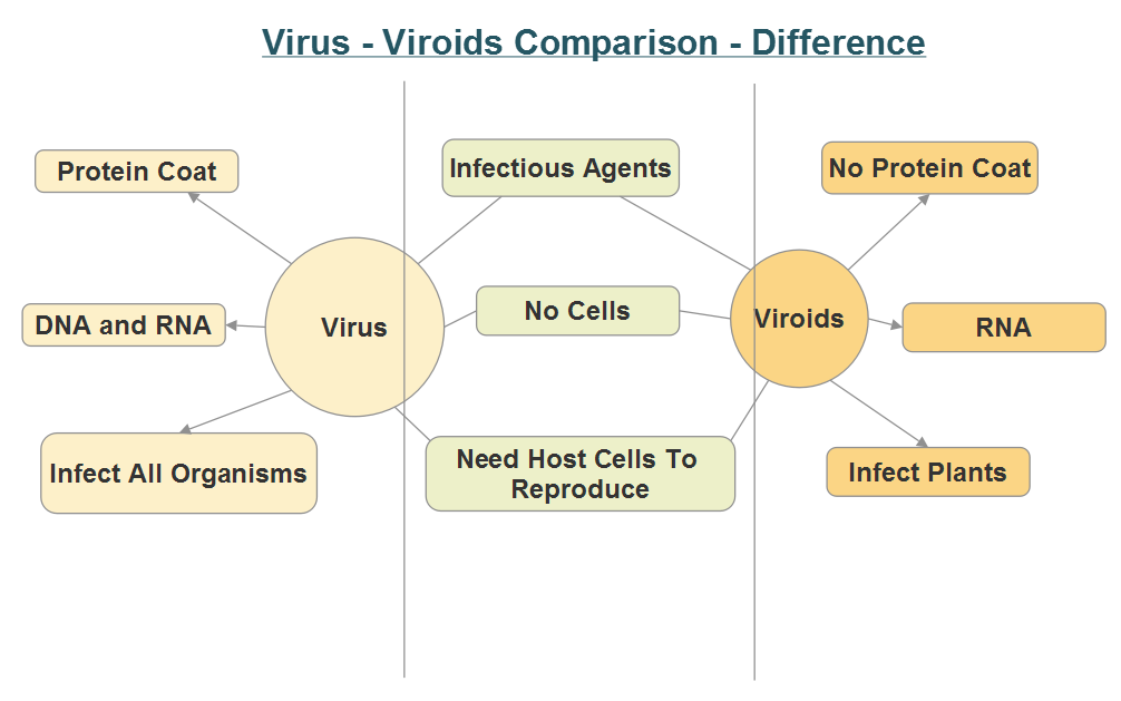 Difference between Virus and Viroids - NEETLab