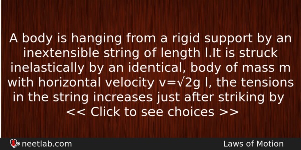A Body Is Hanging From A Rigid Support By An Physics Question 