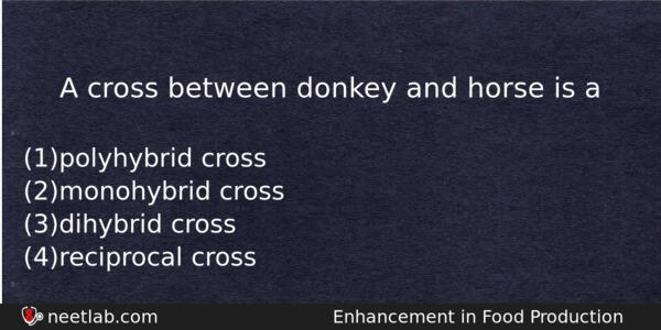 A Cross Between Donkey And Horse Is A Biology Question 