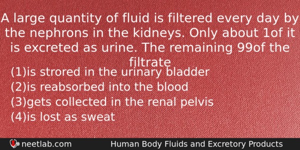 A Large Quantity Of Fluid Is Filtered Every Day By Biology Question 