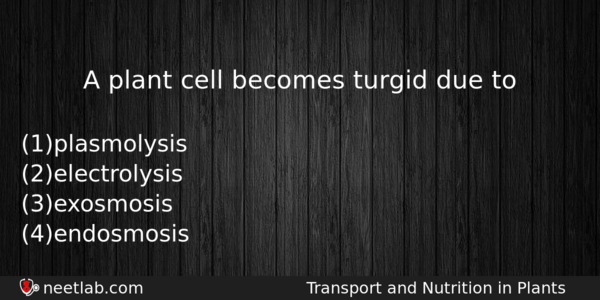 A Plant Cell Becomes Turgid Due To Biology Question 