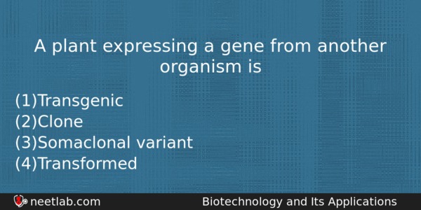 A Plant Expressing A Gene From Another Organism Is Biology Question 