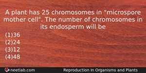 A Plant Has 25 Chromosomes In Microspore Mother Cell The Biology Question
