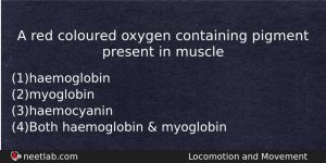 A Red Coloured Oxygen Containing Pigment Present In Muscle Biology Question