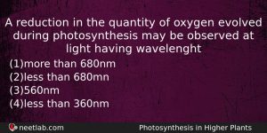 A Reduction In The Quantity Of Oxygen Evolved During Photosynthesis Biology Question