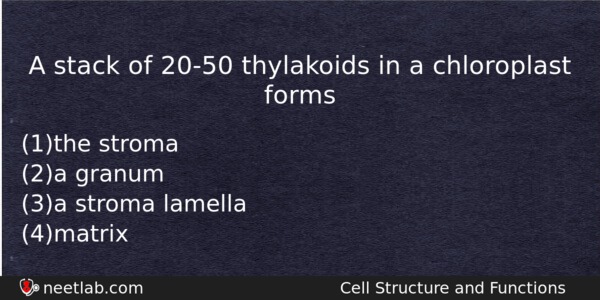 A Stack Of 2050 Thylakoids In A Chloroplast Forms Biology Question 