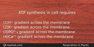 Atp Synthesis In Cell Requires Biology Question