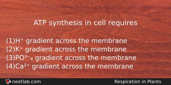 Atp Synthesis In Cell Requires Biology Question 