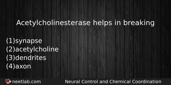 Acetylcholinesterase Helps In Breaking Biology Question 