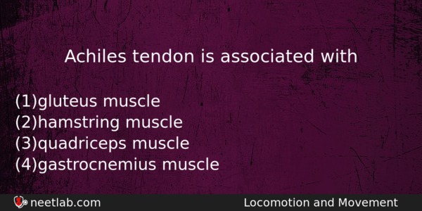 Achiles Tendon Is Associated With Biology Question 