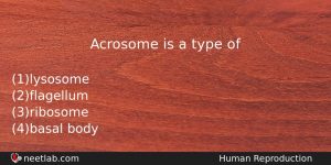 Acrosome Is A Type Of Biology Question