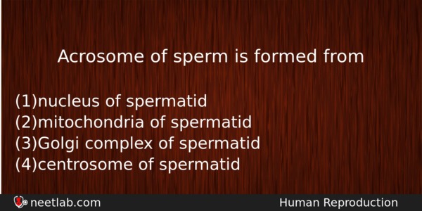 Acrosome Of Sperm Is Formed From Biology Question 