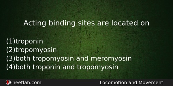 Acting Binding Sites Are Located On Biology Question 