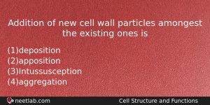 Addition Of New Cell Wall Particles Amongest The Existing Ones Biology Question